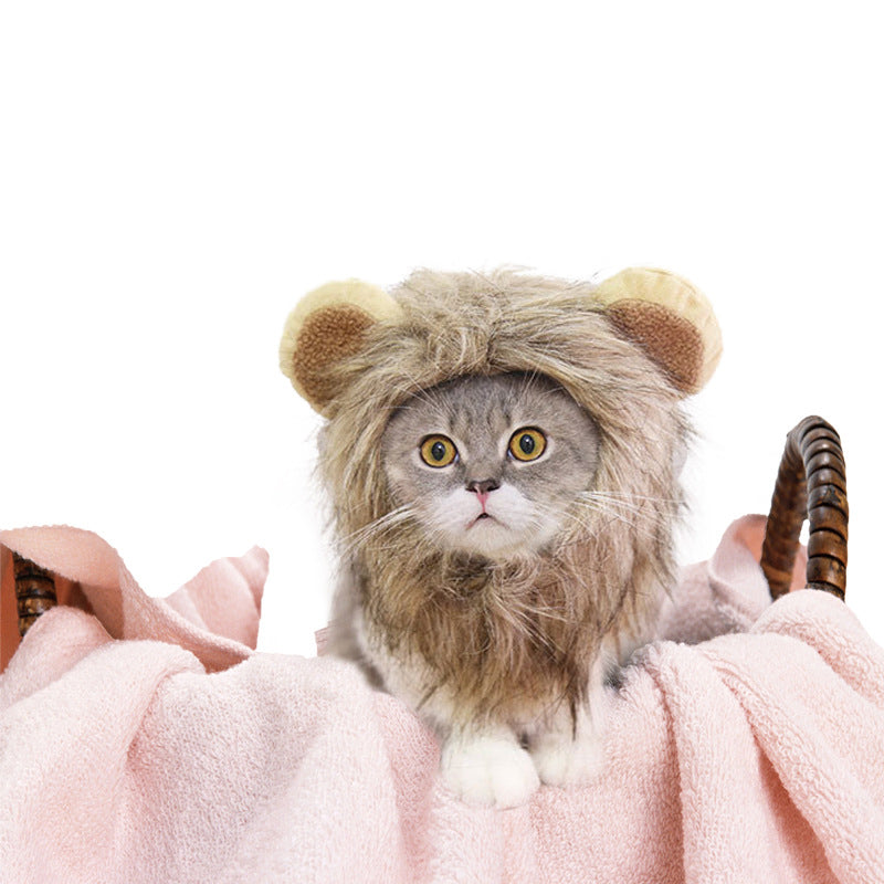 Cat Lion Head Cap Wig