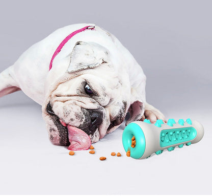 Gebitsreinigend Kauwspeeltje voor Honden – Chewly
