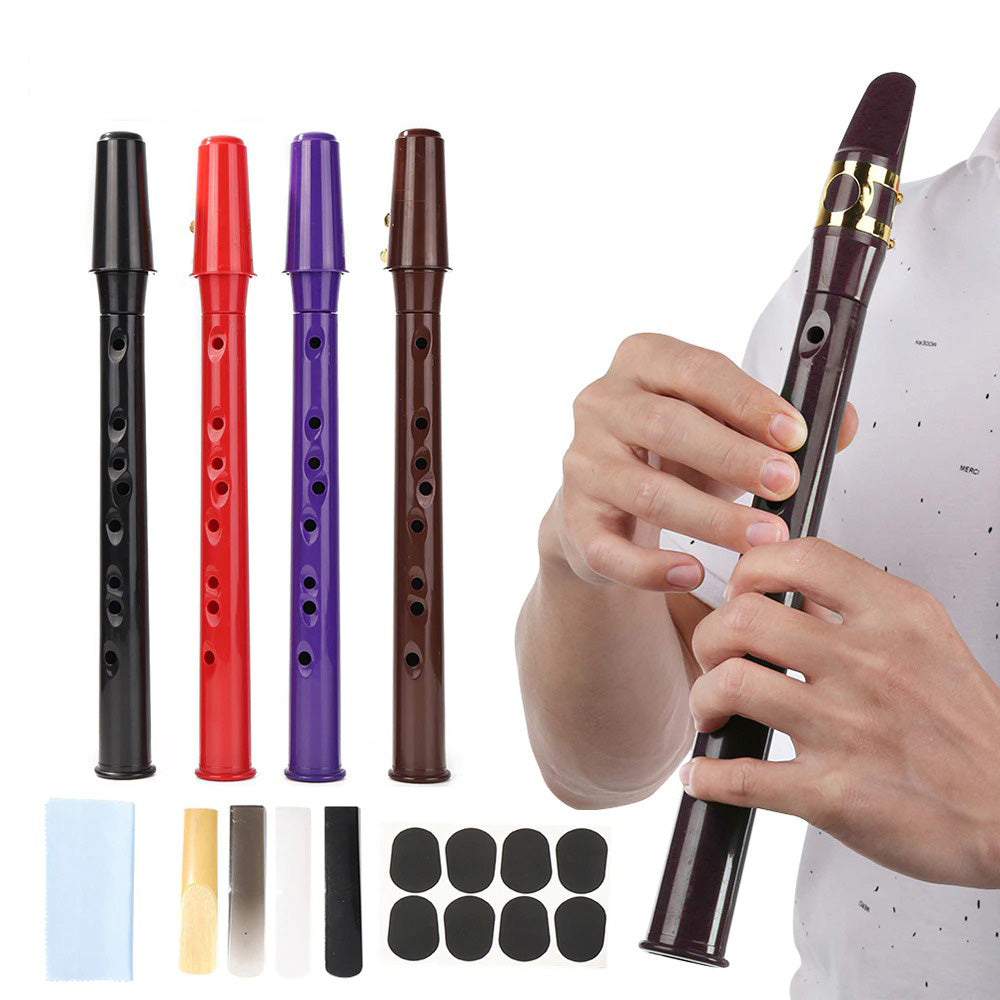 Draagbare mini-saxofoon met alt-mondstuk – Voor beginners en gevorderden