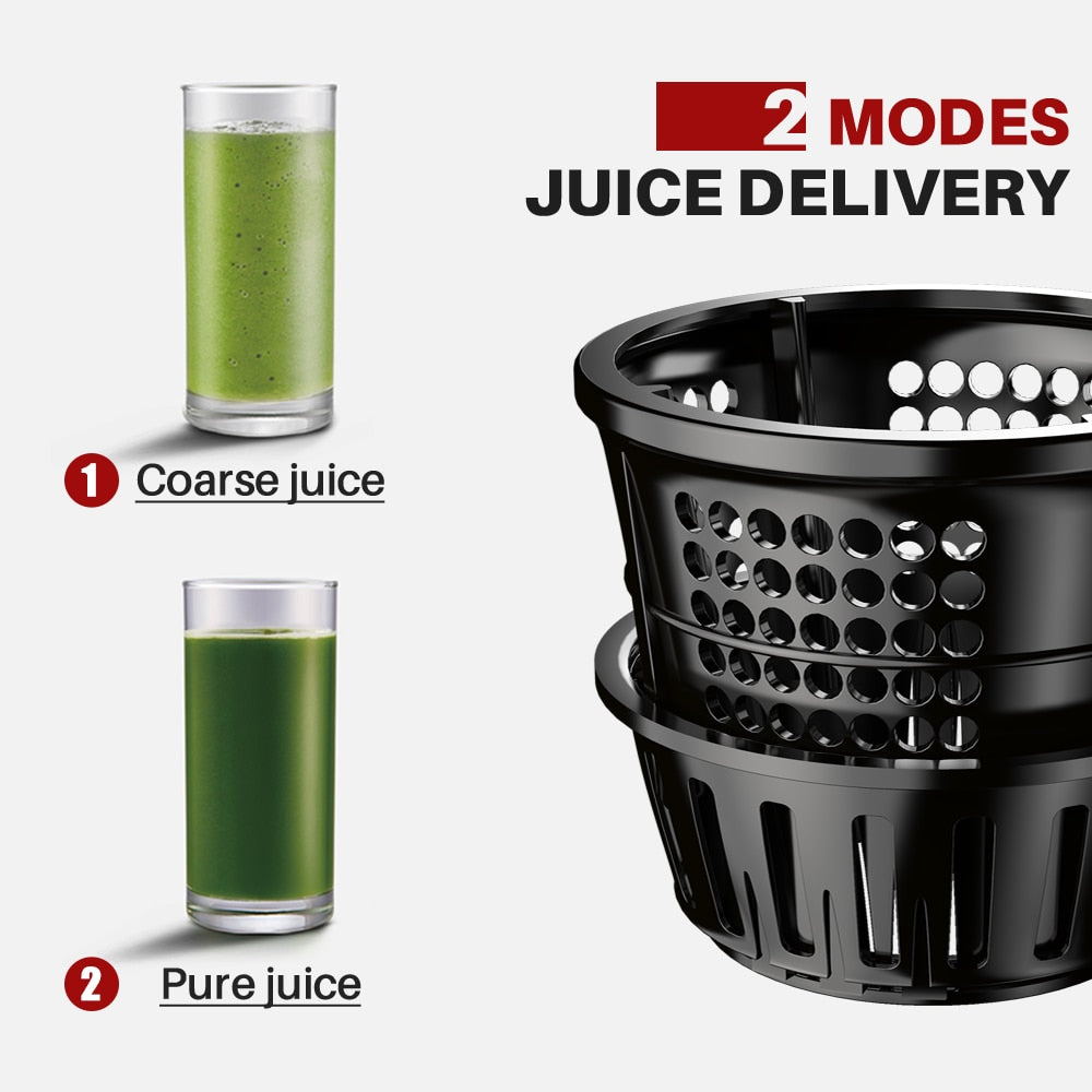 Fruit Juicer Press Extractor Machine Blender