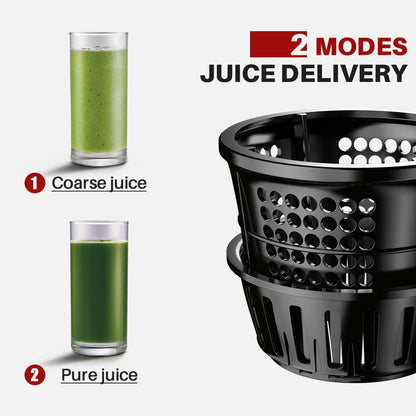 Fruit Juicer Press Extractor Machine Blender