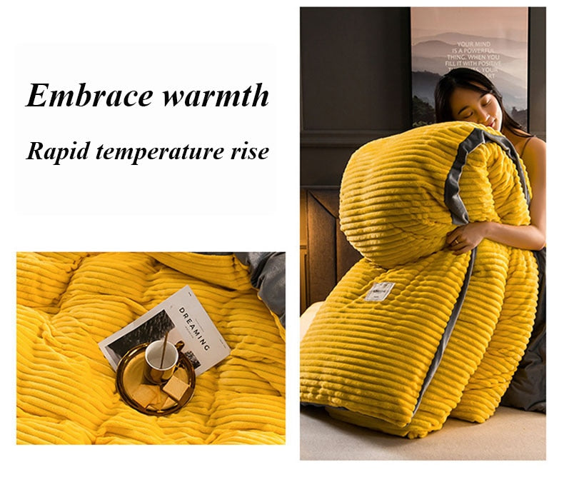 3/4 Pcs AB Sided Thicken Corduroy Velvet Winter Bedding Set Full Queen King Size Duvet Cover