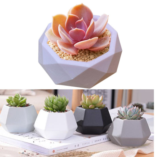 Flower Plants Mould