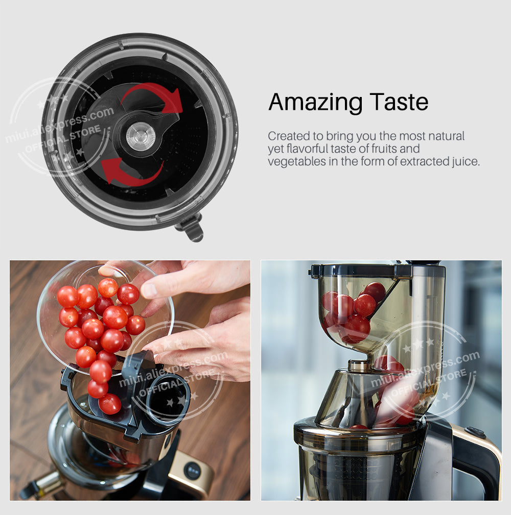 Fruit Juicer Press Extractor Machine Blender