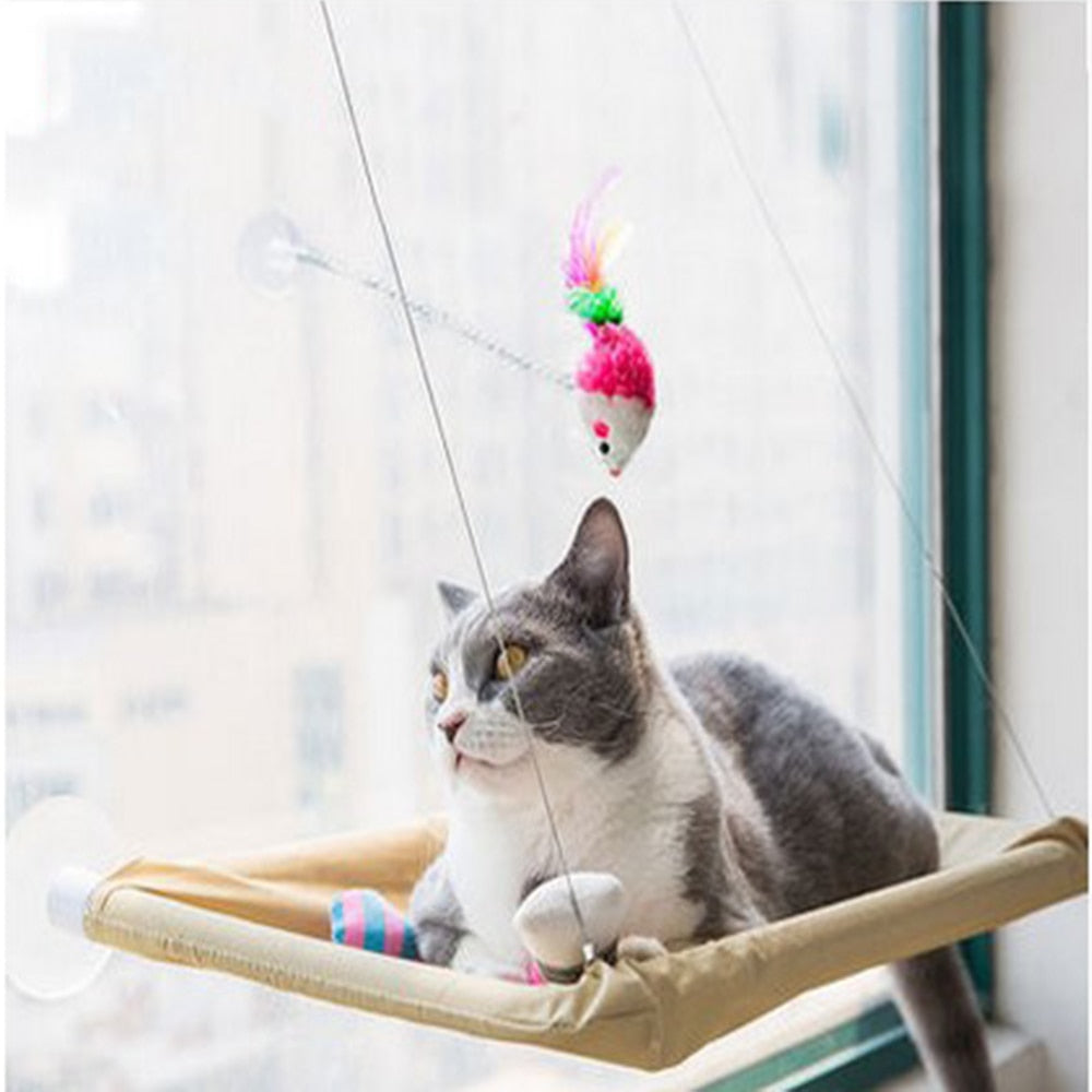 Cat Hanging Beds - Cat Hammock