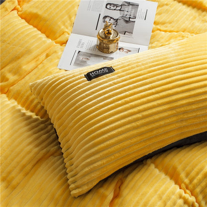 3/4 Pcs AB Sided Thicken Corduroy Velvet Winter Bedding Set Full Queen King Size Duvet Cover