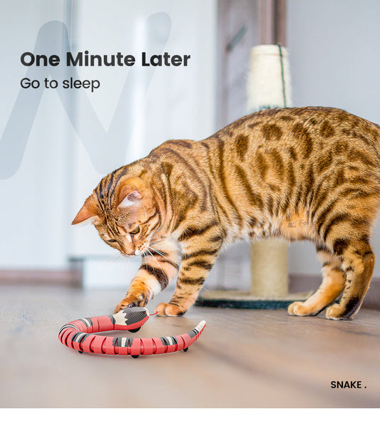 Smart Sensing Snake Cat Toys