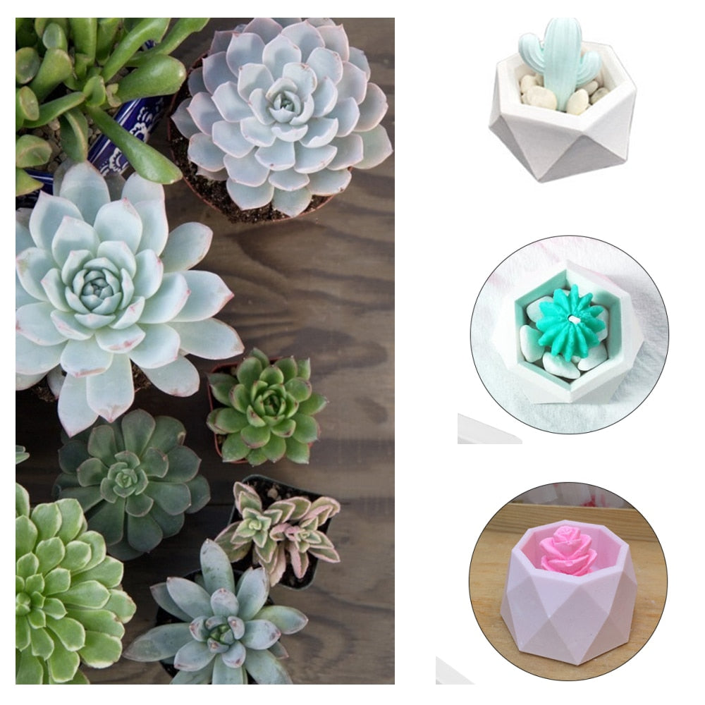 Flower Plants Mould