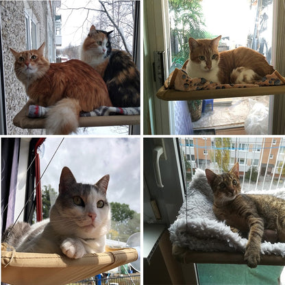 Cat Hanging Beds - Cat Hammock