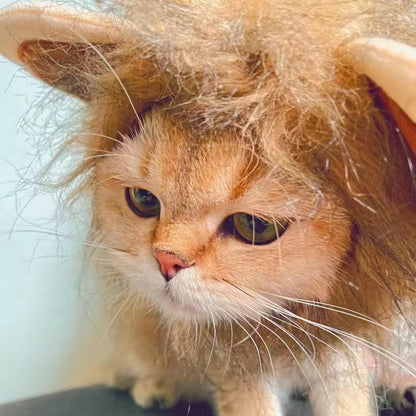 Cat Lion Head Cap Wig