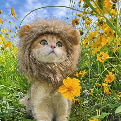 Cat Lion Head Cap Wig