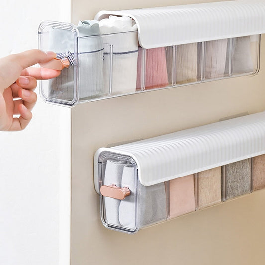 Panty Cabinet Briefs Underware Drawer Storage