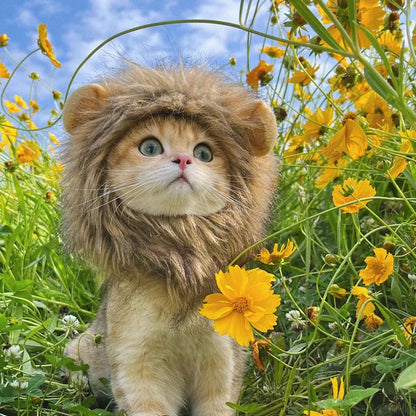 Cat Lion Head Cap Wig