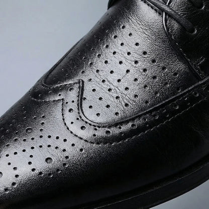 Smalle wingtip-veterschoen - Nicolai