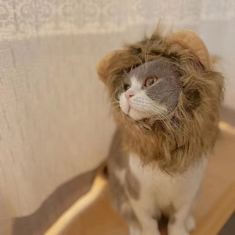Cat Lion Head Cap Wig