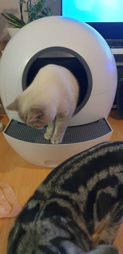 Automatic Self Cleaning Cat Sandbox Toilet Tray APP Remote Control Wi-Fi Supported Smart Cat Litter Box