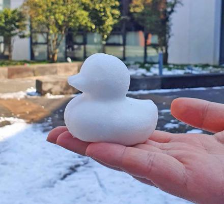 Duck Shaped Snowball Maker Clip  Mold Tool  Fun Sports Toys